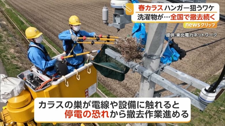 （提供：東北電力ネットワーク）