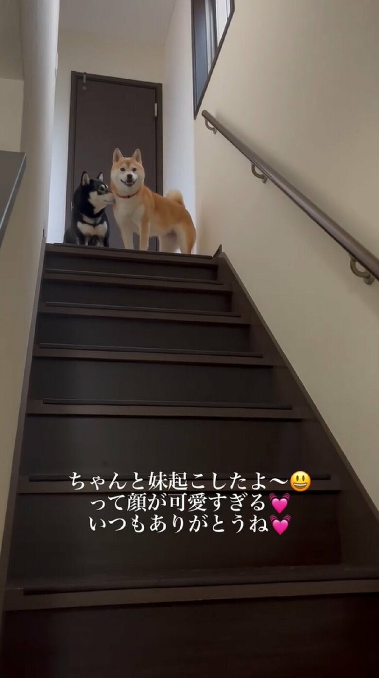 豆ちゃんへ顔を寄せる小豆ちゃん「起こしてくれてありがとう」と伝えているのか？
