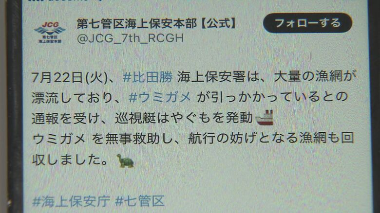 81万再生超の反響