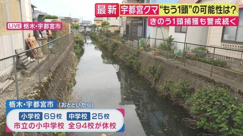 クマが泳いで渡った川（関西テレビ「旬感LIVE とれたてっ！」より）