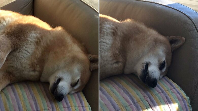 スヤスヤから、覚醒の瞬間