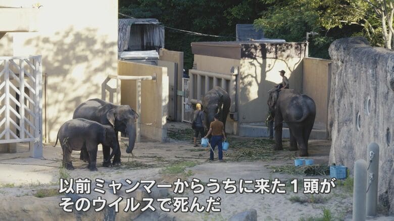 提供　福岡市動物園