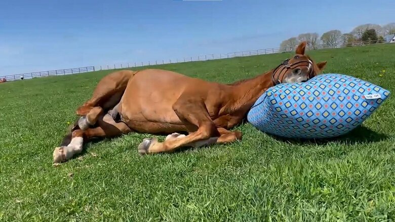 Yogiboを枕にしてゴロン