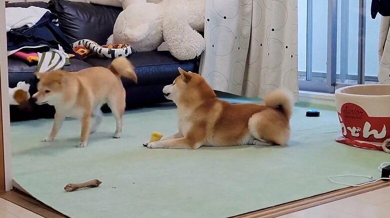 顔を上げて…