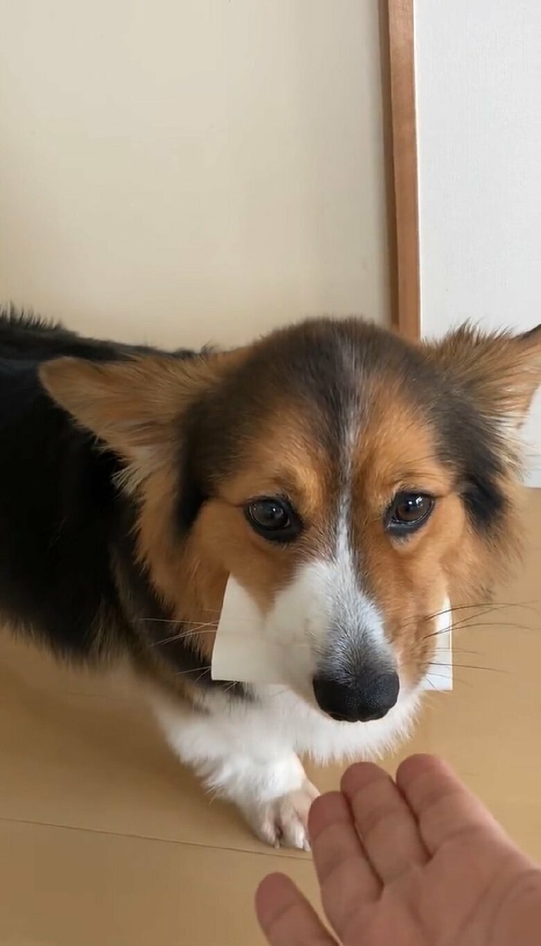 そろりそろりと近寄るも…