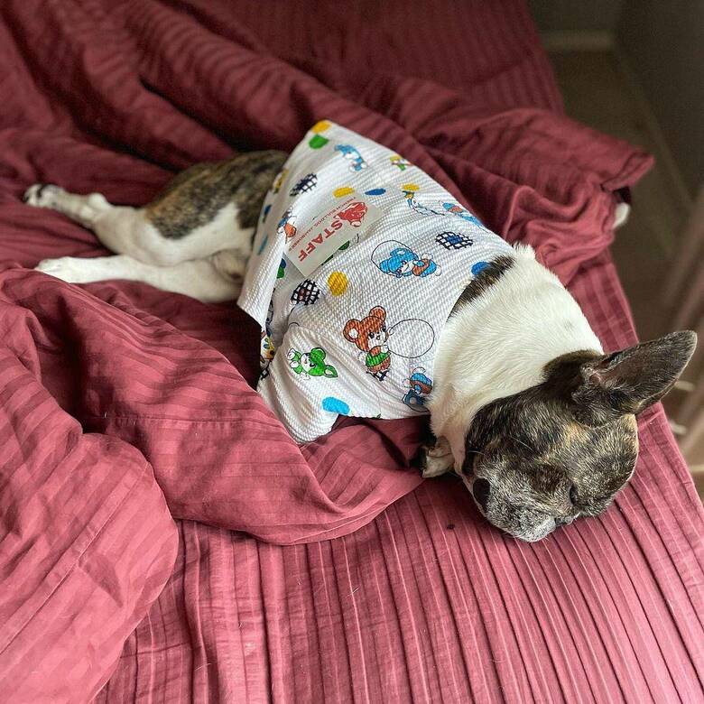 提供：丸男さん