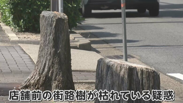 パワハラ問題と並んで拡大