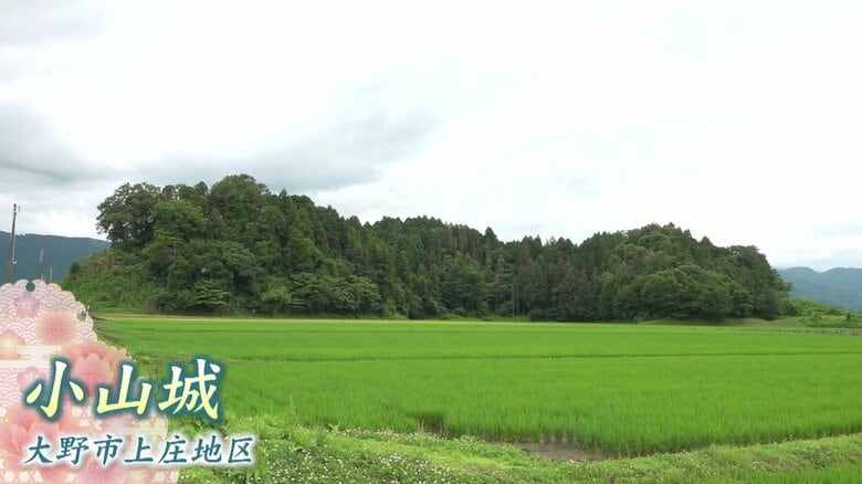 孝景が斯波氏を打ち取った小山城