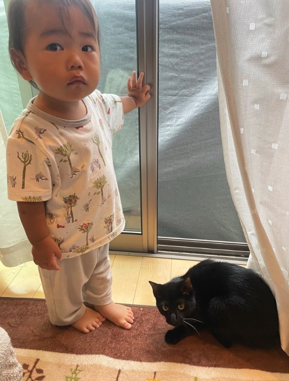 提供：ゴンゾウR4さん