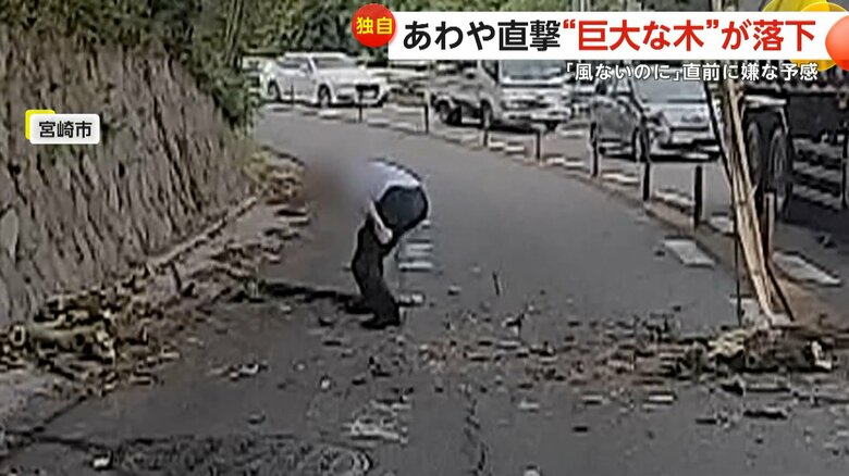 運転中は周囲の安全を確認し、出来る範囲での撤去を行っていた