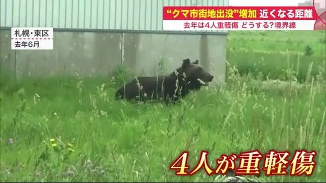 2021年6月 札幌市東区の市街地に初めてクマが出没した