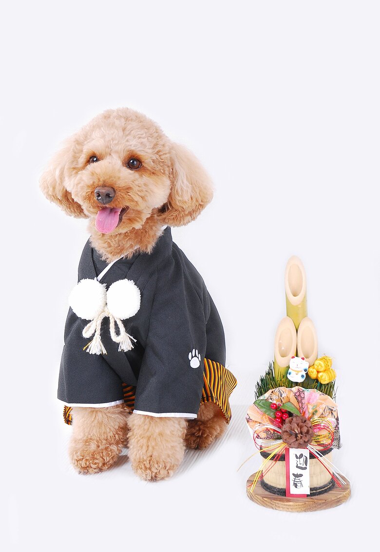 和装で記念撮影