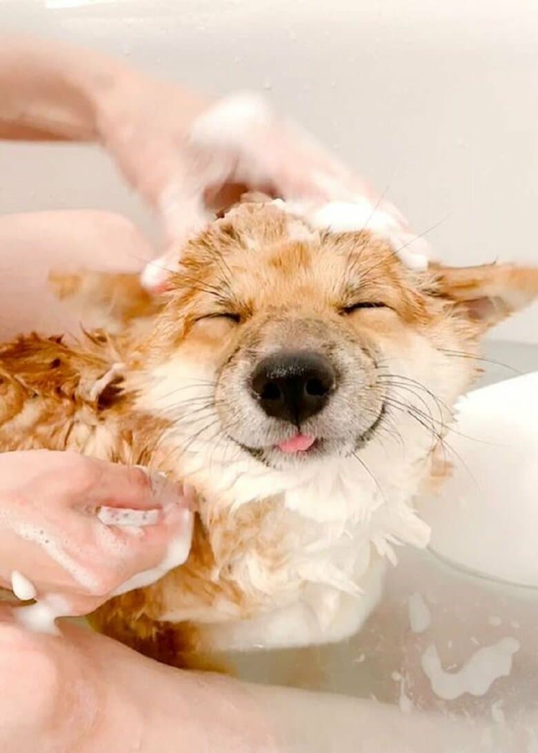 苦手だけども気持ちいいかも？