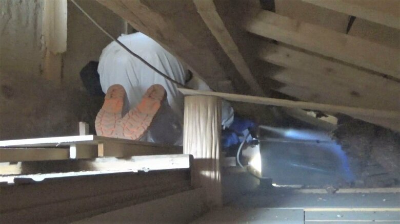  新しい巣には殺虫剤を噴射