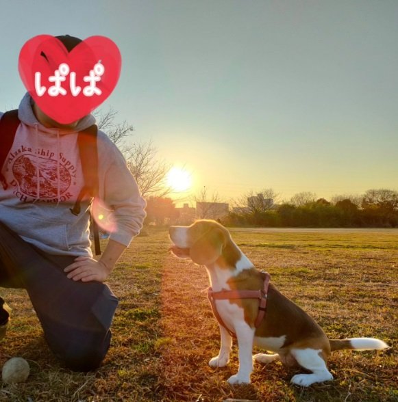 大好きなパパとじゃこちゃん