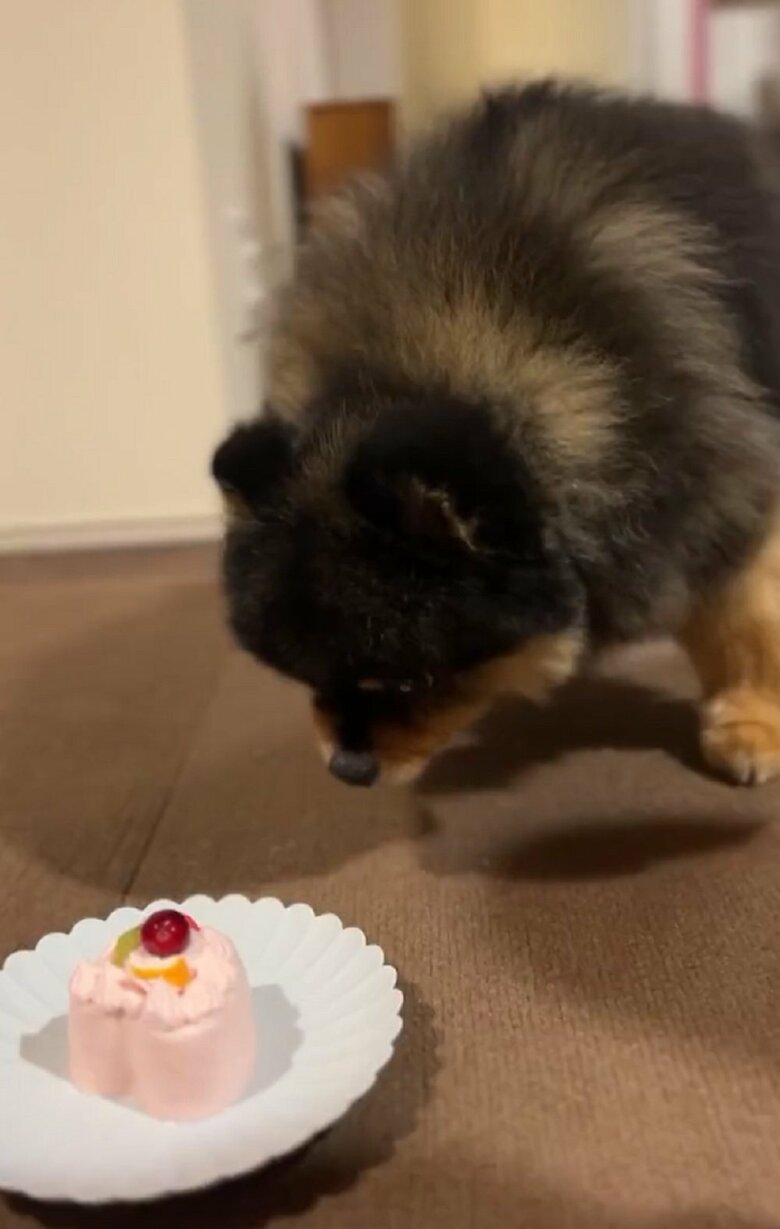 いいのかなぁ…