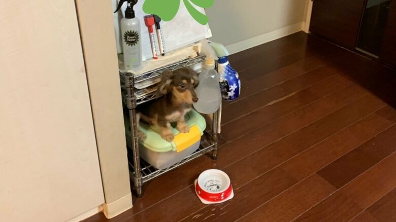 小さな頃は痩せていたが…