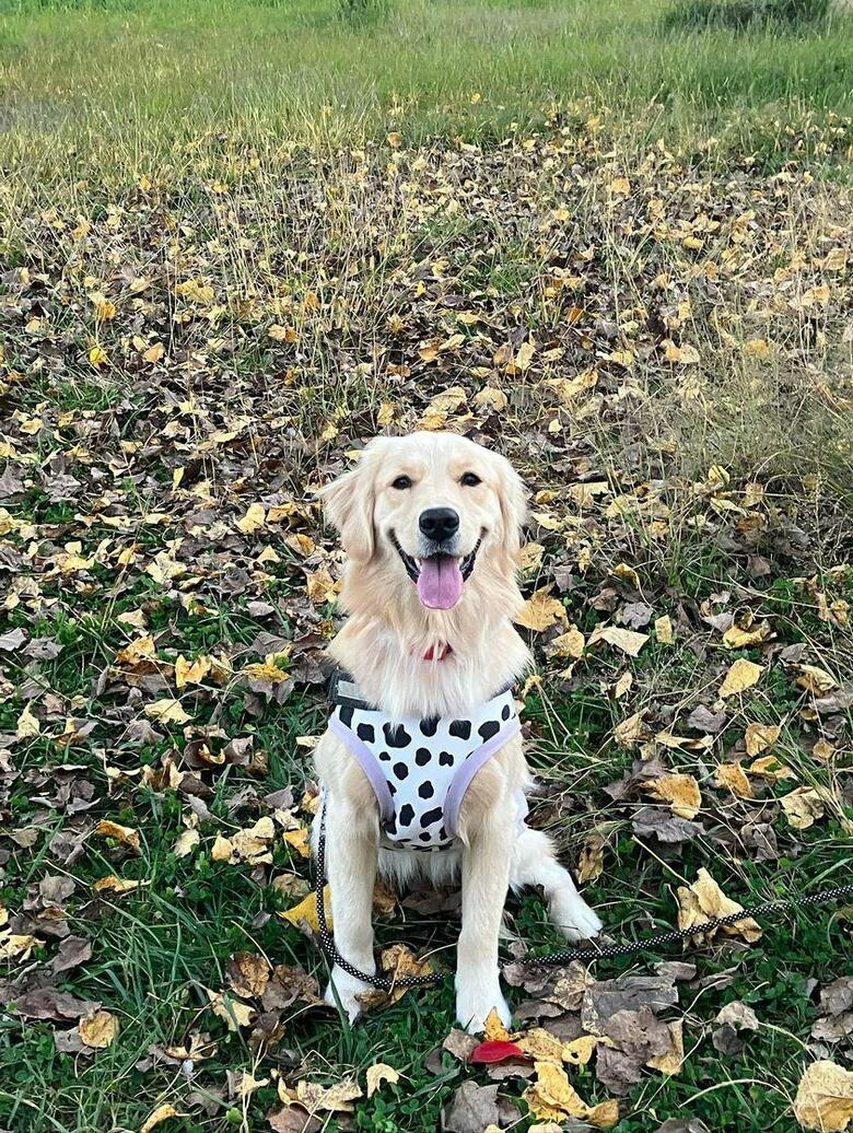 提供：エマさん