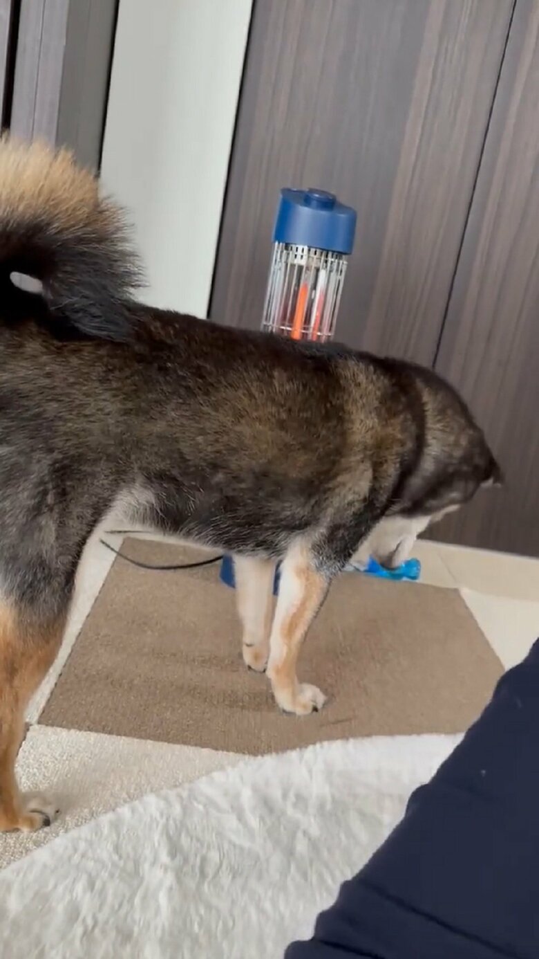 飼い主さんがどいてあげると