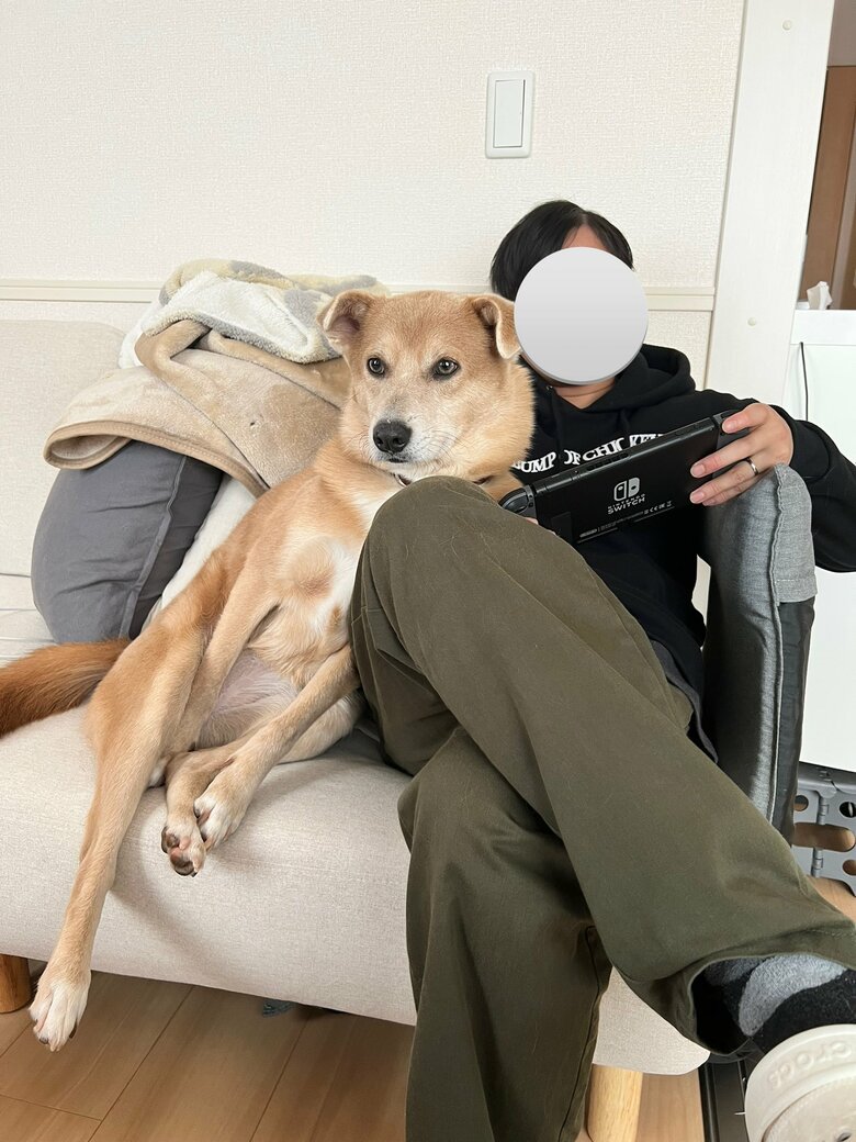 提供：あさぎさん