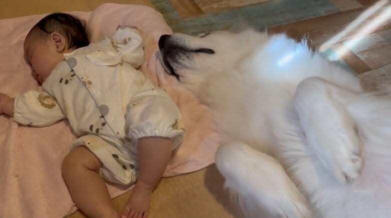 仰向けで同じ寝方…