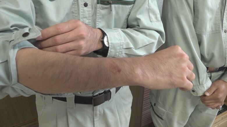 クマに襲われ男性2人がケガ（上越市）