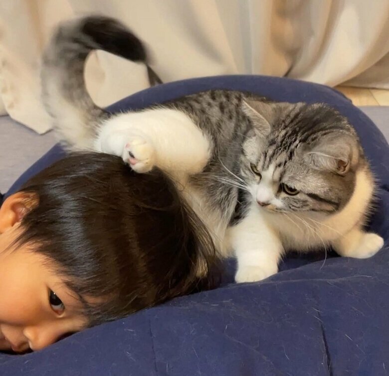 手が苦手なふにちゃんでも頭や顔なら静かに受け入れてくれる