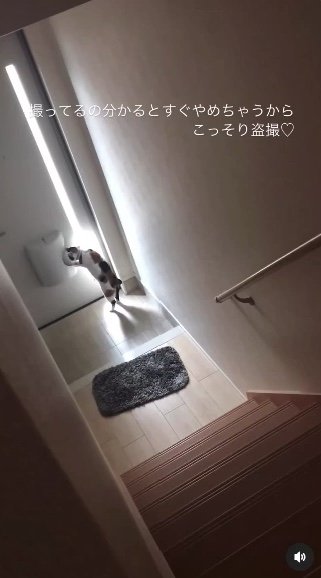 提供：kiyokoさん