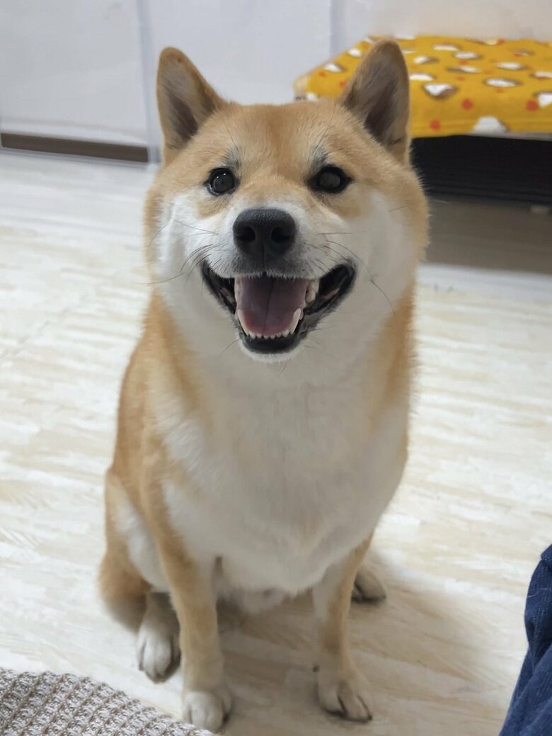 笑顔　にっこり