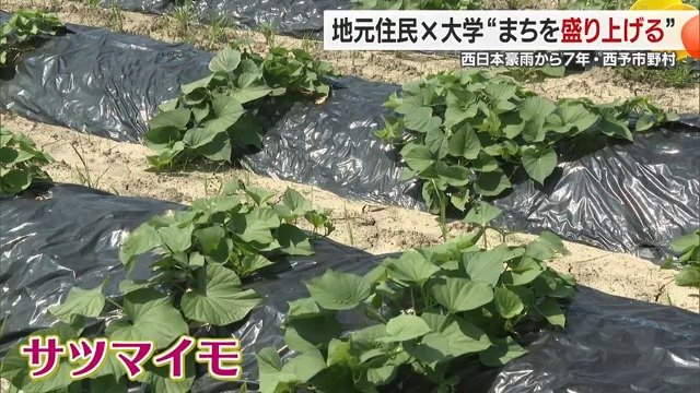 どすこいパークの新たなエリア「菜園・林の広場」
