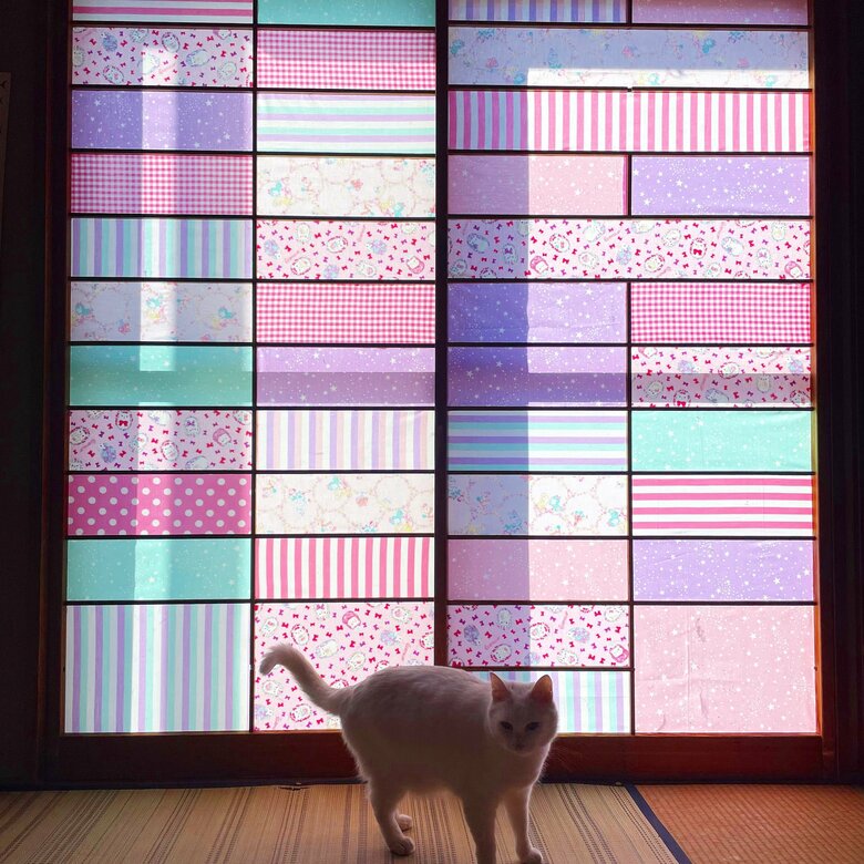 布仕様になり10日目も破られていない（提供：絵子猫さん）