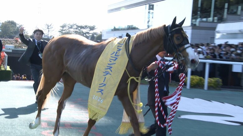 ファルコンSを制したダイヤモンドノット