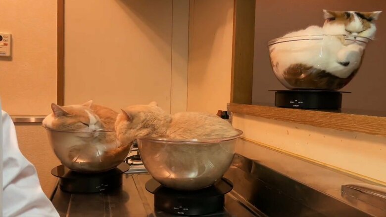 提供：みかんとじろうさんちさん