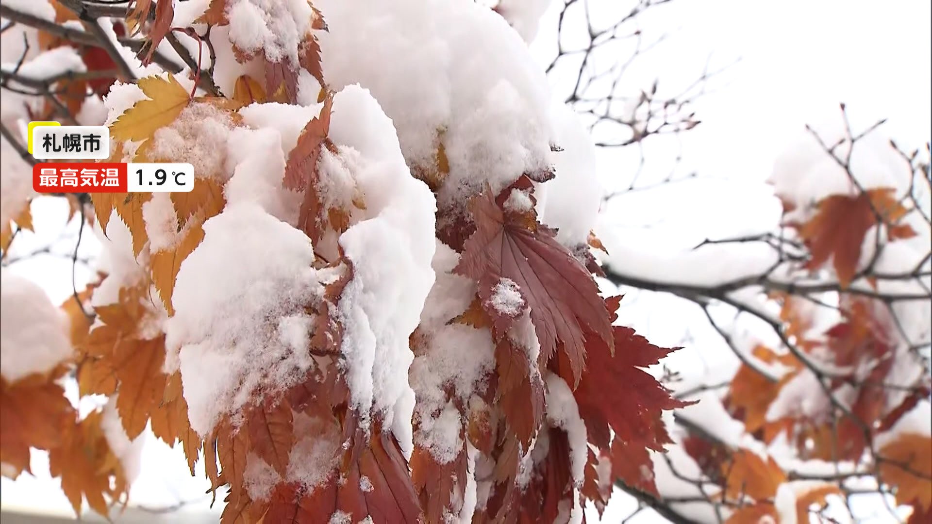 一面「銀世界」に…札幌市では今年初の積雪で“冬の風物詩”「ササラ電車」初出動　代々木にも“雪”?「東京雪祭」で子どもたち大喜び！