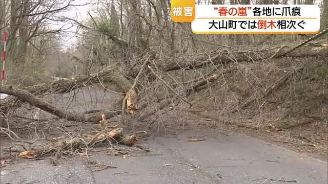 “春の嵐”の爪痕…看板落下の恐れなど建物被害20件　約10カ所の倒木で県道が一時通行止め（鳥取）