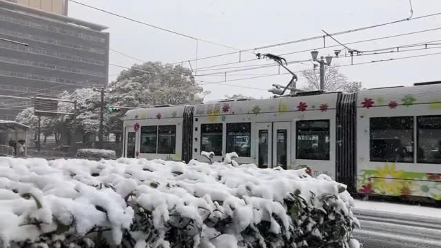 備北地域に「大雪警報」　断続的に降雪、広島市内でも３センチ　交通機関にも影響　広島