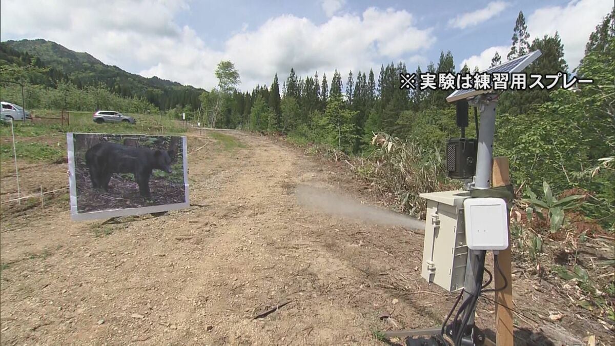 画像からAIが判定…全国初の『クマ撃退スプレー自動噴射機』出没が