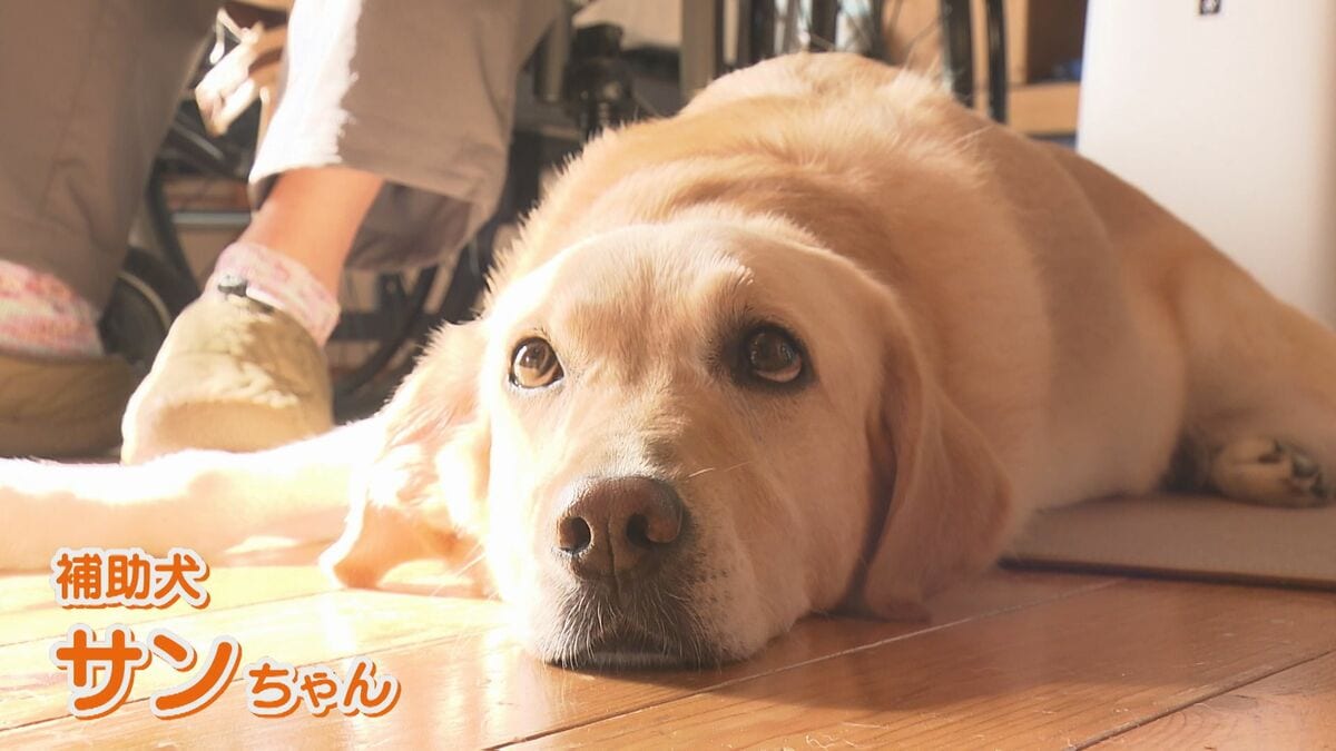 携帯を持って来てくれる存在」介助犬は“命綱” 筋ジストロフィーの男性