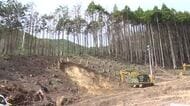 大船渡山林火災1年半　200ha復旧近く発注へ　平成以降最大規模　岩手県