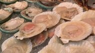 ホタテが記録的不漁　代わりに「ムール貝」提供する飲食店も　刺身用生ホタテは1.5倍に高騰