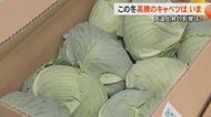 「まだ高い」「少しは安くなった」キャベツ価格は春キャベツが出回り落ち着くも例年より高め レタスやトマトも徐々に値下がり