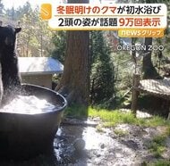 冬眠明けのクマが“バスタブ”でバシャバシャ水浴び　もう1頭来るもかたくなガードで“独り占め”　アメリカ