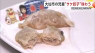 給食に“サケ餃子”登場　サケ漁盛んな大仙市の児童、食を通じて地域の伝統文化学ぶ　秋田