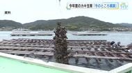 養殖カキの大量死のリスク「厳戒アラート」発表　生産者はカキを移す対策「満足のいくカキを届けたい」広島