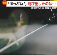 「あっぶね！」暗闇からシカ…急ブレーキで間一髪、衝突を回避　“シカとの遭遇”が増加　北海道・清水町