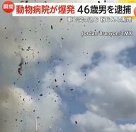 「Oh my gosh…」動物病院が大爆発！車が突っ込みガス漏れ…消防隊駆けつけた後に　運転手“飲酒・薬物運転”の疑いで訴追　アメリカ