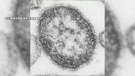 「はしか」感染者数去年の4倍超　前週から32人増え139人　海外からウイルス持ち込まれ国内で感染か