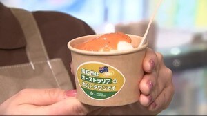 オーストラリアとコラボのジェラート誕生 名前を募集中<岩手・釜石市>