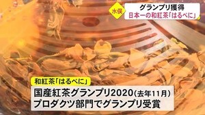 地域商品 日本一の和紅茶『はるべに』【熊本】