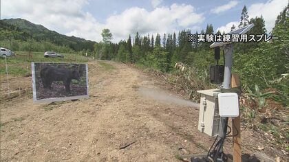 画像からAIが判定…全国初の『クマ撃退スプレー自動噴射機』出没が相次ぐ岐阜県内で実証実験始まる